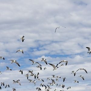 Meet your Posher, Tania